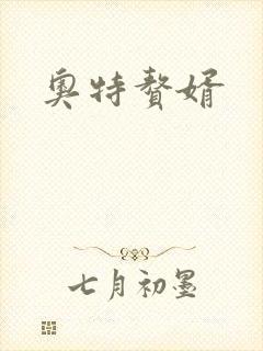 奥特赘婿