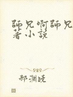 师兄啊师兄的原著小说封面