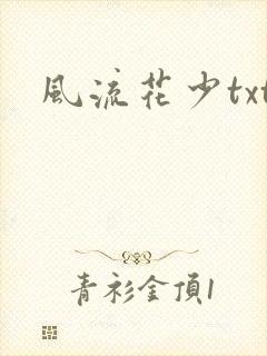 风流花少txt