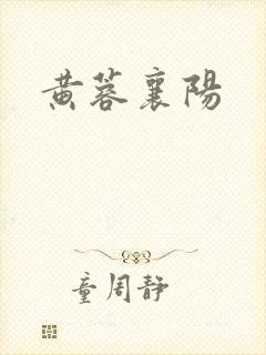 黄蓉襄阳