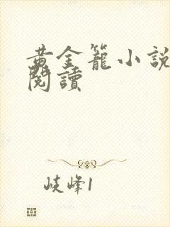 黄金笼小说免费阅读