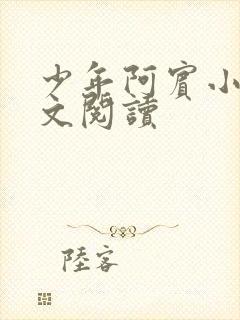 少年阿宾小说全文阅读