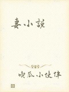 妻小说