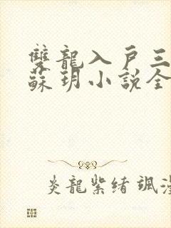 双龙入户三人行苏玥小说全文阅读