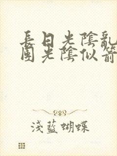长日光阴乱作一团光阴似箭必读