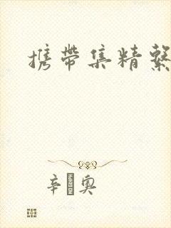 携带集精系统