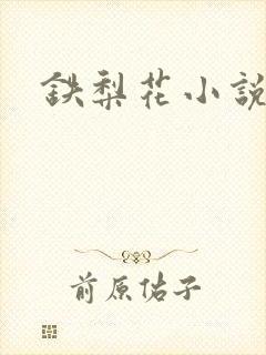 铁梨花小说