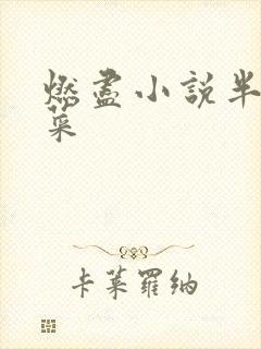燃尽小说半截白菜