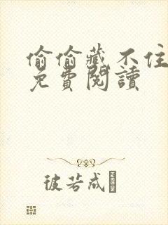 偷偷藏不住小说免费阅读