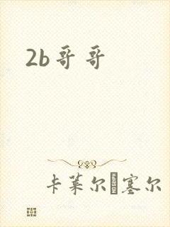2b哥哥