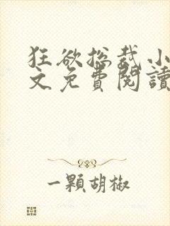 狂欲总裁小说全文免费阅读