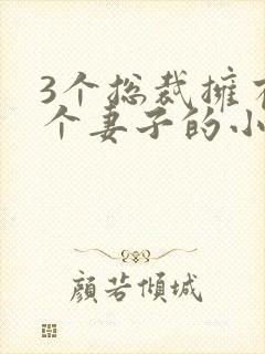 3个总裁拥有一个妻子的小说封面