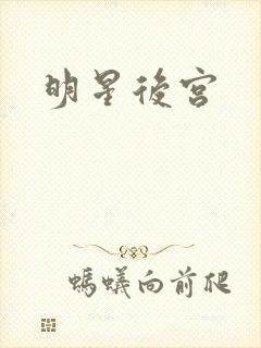 明星后宫封面