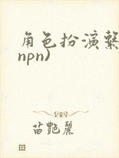 角色扮演系统(npn)封面