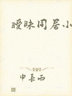 暧昧同居小说封面