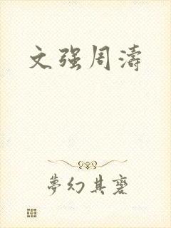 文强周涛