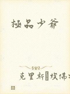 极品少爷