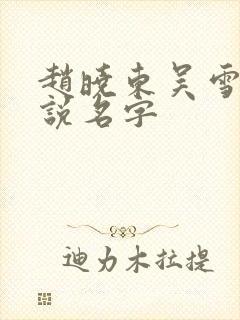 赵晓东吴雪晴小说名字