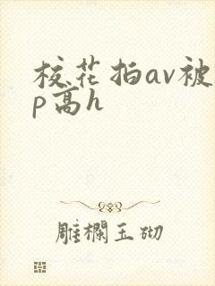 校花拍av被np高h