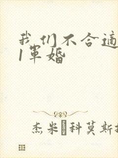我们不合适1v1军婚