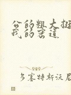 公的粗大挺进了我的密道