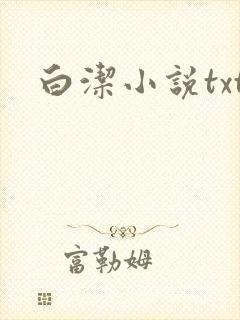 白洁小说txt