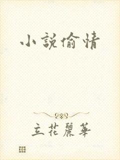 小说偷情