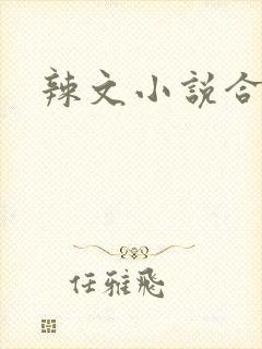 辣文小说合集