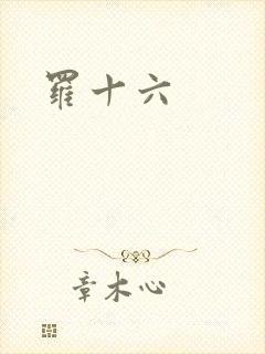罗十六