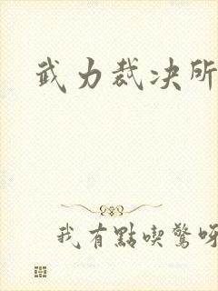 武力裁决所封面
