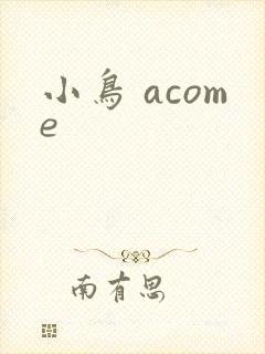 小鸟 acome封面