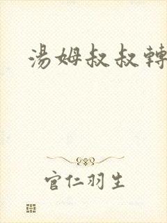 汤姆叔叔转接口