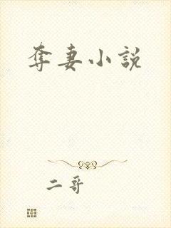 夺妻小说