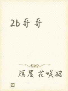 2b哥哥