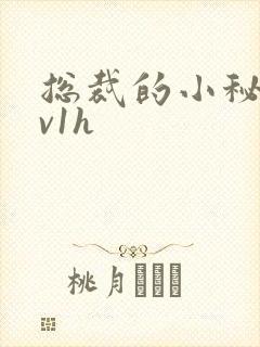 总裁的小秘书1v1h封面
