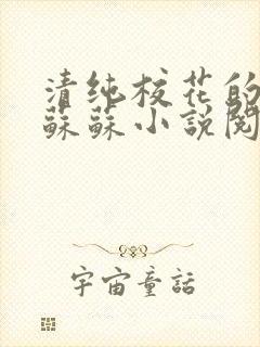 清纯校花的日常苏苏小说阅读全文