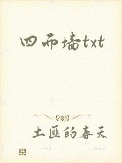 四面墙txt