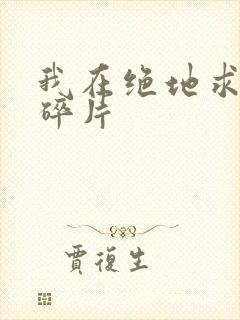 我在绝地求生捡碎片封面