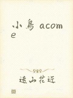 小鸟 acome