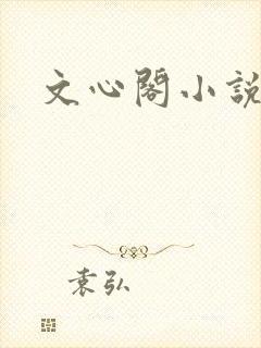 文心阁小说
