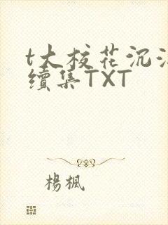 t大校花沉浮录续集TXT