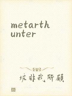 metarthunter封面