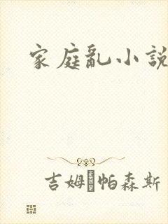 家庭乱小说