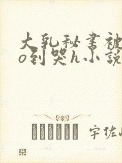 大乳秘书被cao到哭h小说