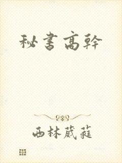 秘书高干封面