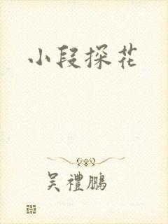 小段探花