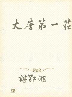 大唐第一庄