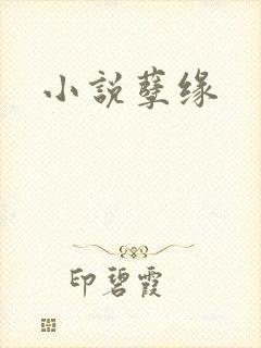 小说孽缘