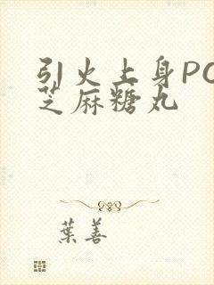引火上身POP芝麻糖丸封面