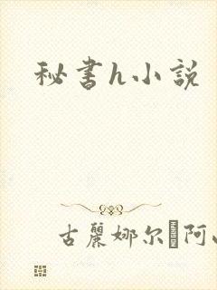 秘书h小说封面